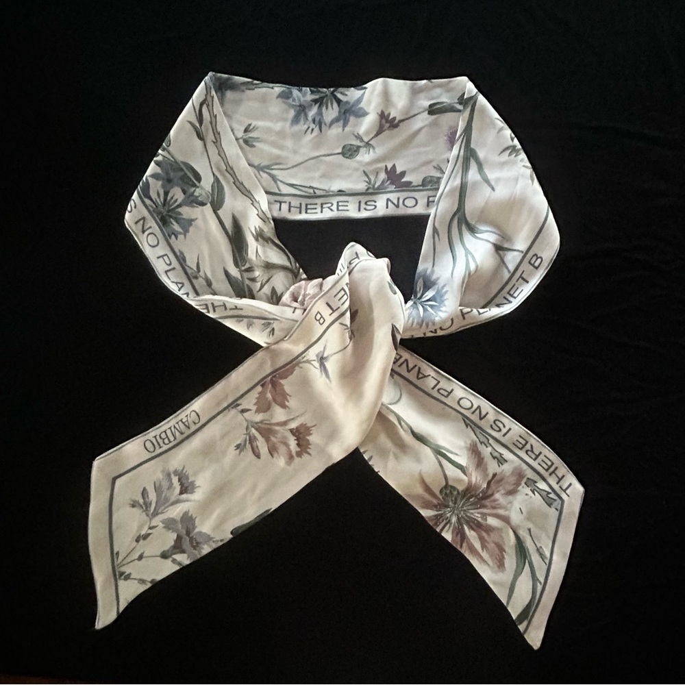 Cambio silk scarf